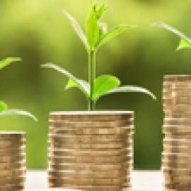 إدارة الاعمال والتمويل (167)